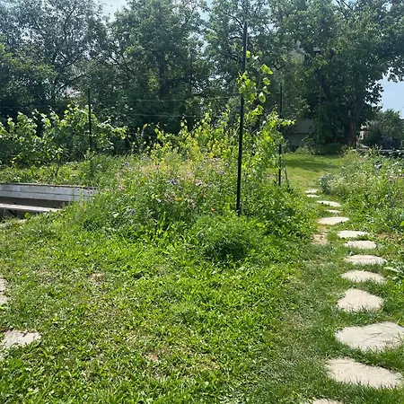 House 아파트 Jelenec