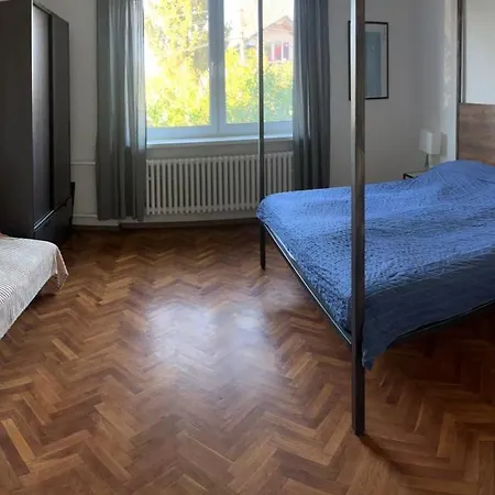 公寓 House Jelenec
